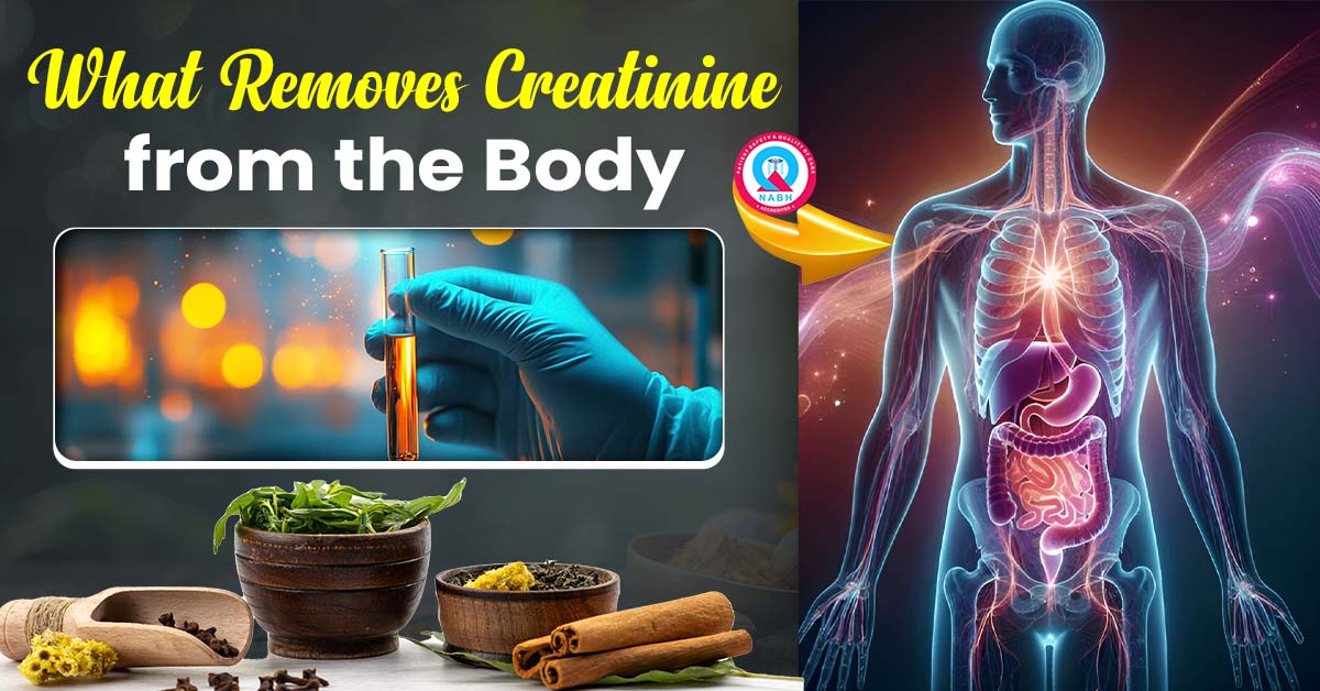 what-removes-creatinine-from-the-body